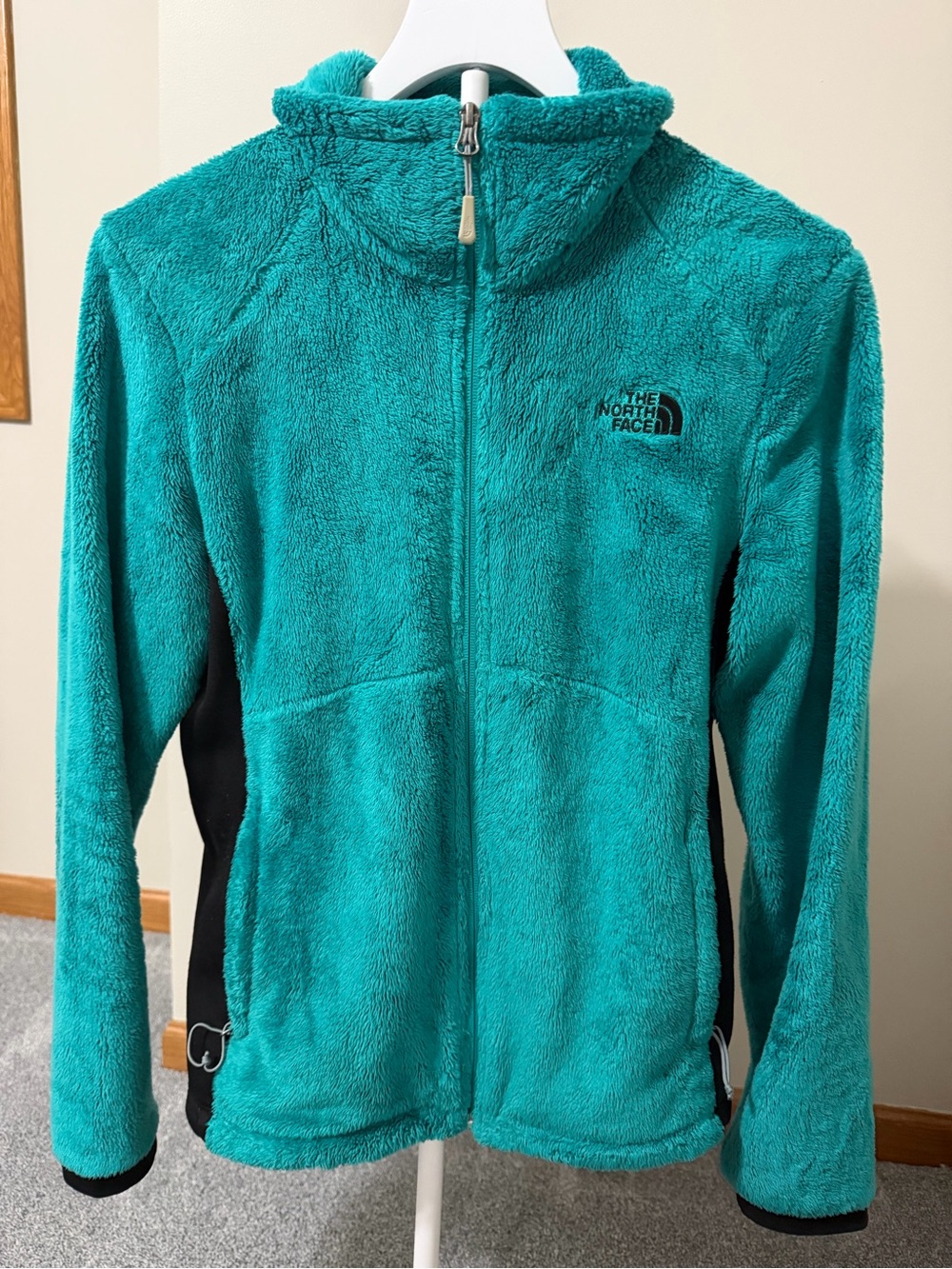 The North Face Teal Plush Fleece Jacket with Black Logo Tag